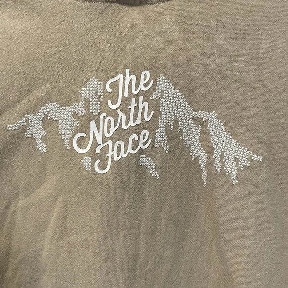 The North Face Women’s Hoodie Pullover Fleece Size Medium - Picture 2 of 9